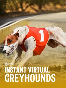 Virtual Greyhounds