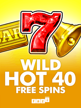 Wild Hot 40 Free Spins